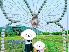 -苏州太湖西山岛开心农场