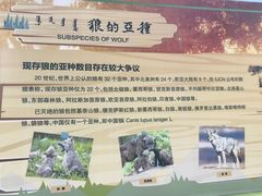 -鄂尔多斯野生动物园