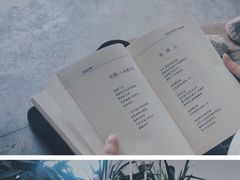 -云里小坐·小院里·团建·宴请·下午茶(三圣乡店)