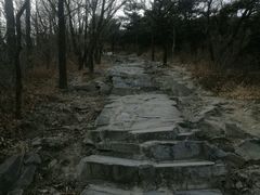 -北京鹫峰国家森林公园