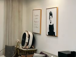 -演员的秘密·皮肤管理