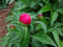 -合肥三国新城遗址公园