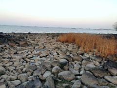 -上海吴淞炮台湾国家湿地公园