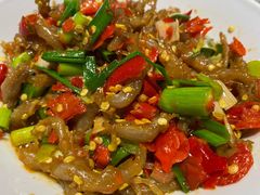 -壹盏灯(惠农店)
