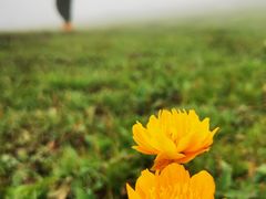 -灵山