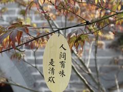 -戏马台景区