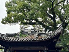-台州府城(东湖)