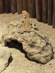 -酷嗒动物文化乐园(cutezoo西溪乐天城店)