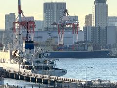 -台场海滨公园船码头