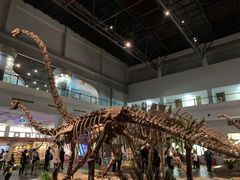 -自贡恐龙博物馆