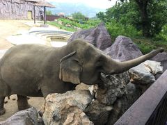 -青岛森林野生动物世界
