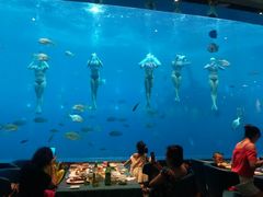 -瑞德姆美人鱼海底演艺主题餐厅(亚龙湾店)