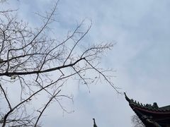 -丰都鬼城名山景区