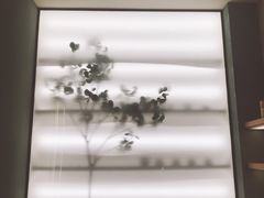 -36cake生日蛋糕(福田店)