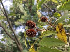 -金堂县云顶石城风景区