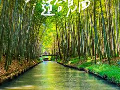 -同里国家湿地公园