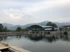 -特种渔场