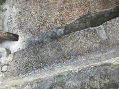 -司徒世家·兵马司林粽球(牌坊街店)