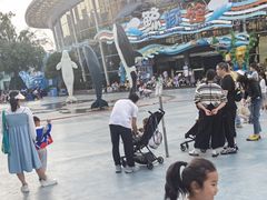 -海合安成都极地海洋公园