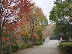 -食膳公园包子铺(烈士公园店)