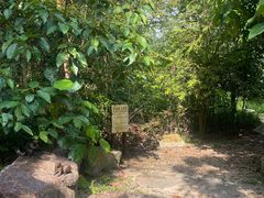 -武吉知马自然保护区