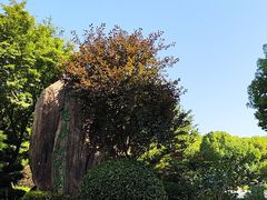 -昆山城市生态森林公园