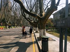 -东南大学(四牌楼校区)