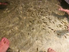 -明谷行馆·温泉
