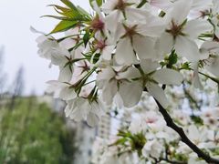 -上海市普陀区文化馆