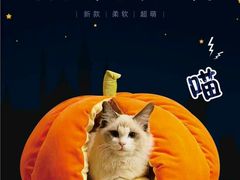 -晴季寿司(红旗街万达店)