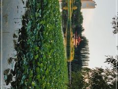 -青城公园