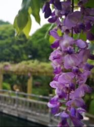 -长沙小顽国景区