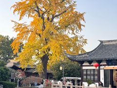 -常熟方塔园
