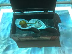 -翡翠36餐厅(浦东香格里拉店)