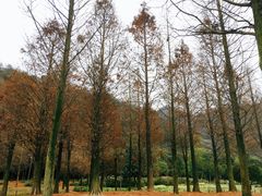 -贵阳市花溪国家城市湿地公园