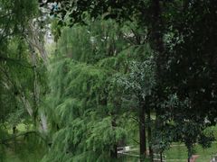 -人民公园(罗湖区)