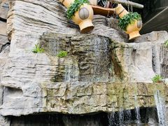 -南宫五洲植物乐园