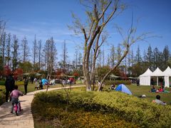 -上海长兴岛郊野公园