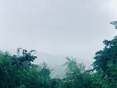 -浙江安吉JW万豪酒店·万豪中餐厅