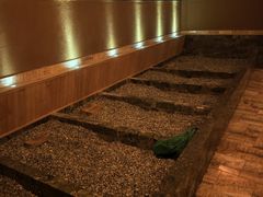 -大连金石滩绿发温泉假日酒店