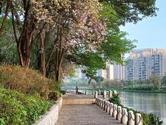 -怡海公园(桂城街道)