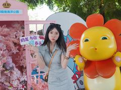 -海合安成都极地海洋公园