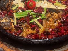 -老板恋上鱼(恒隆广场店)