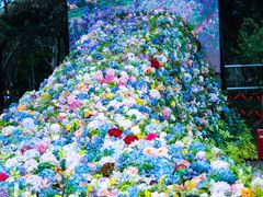 -上海共青森林公园