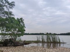 -东湖落雁景区