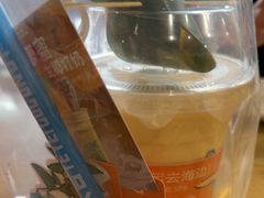 -椰椰大吉(海城店)