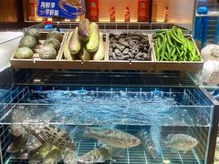 -南棠馆粤菜坊(群光店)