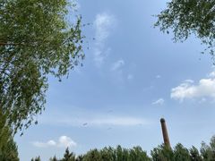 -丁香湖公园