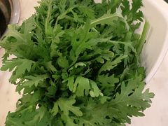 -同仁四季椰子鸡(福田东园总店)