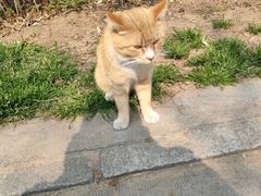 -贮水山儿童公园